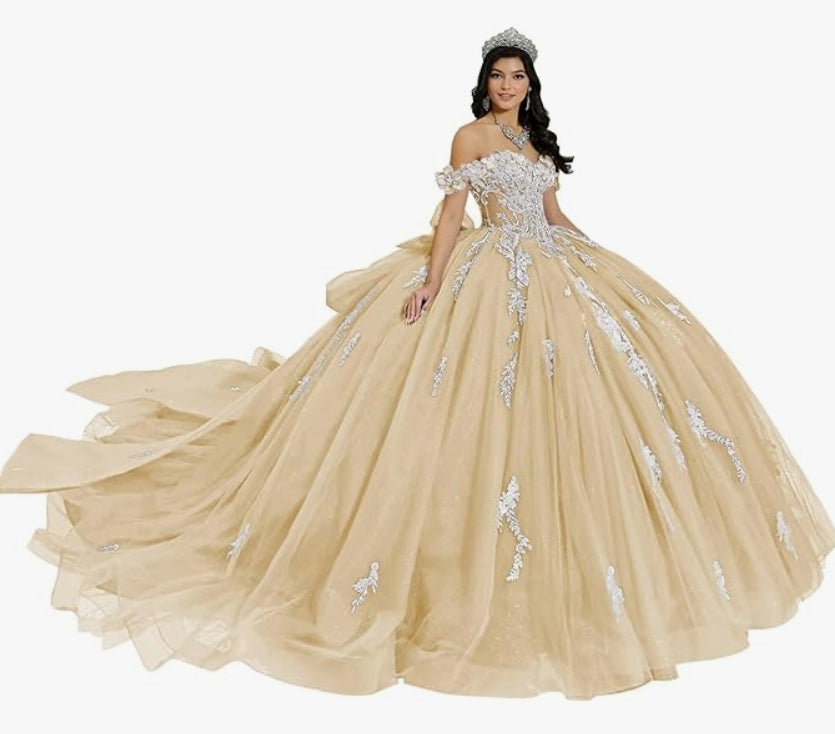 Clarissa's Glitter Dress