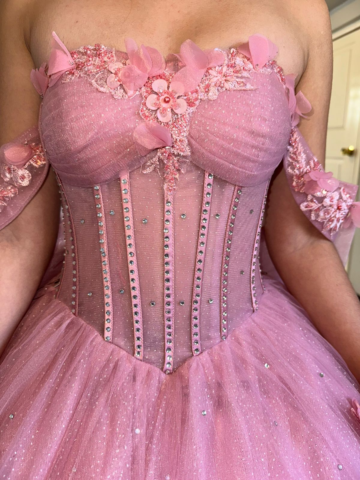 Rose Garden 3D Floral Quinceanera Ball Gown